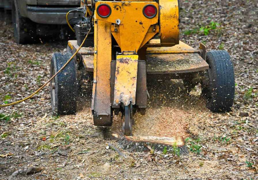 Affordable Stump Grinding Service Perth