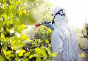 Professional Tree Health Assessment Perth