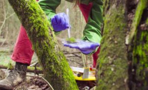Professional Tree Health Assessment Perth