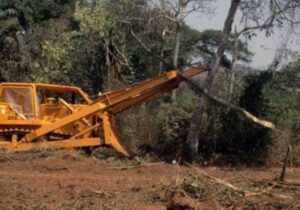 Expert Land Clearing Perth