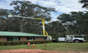 Expert Tree Maintenance Perth