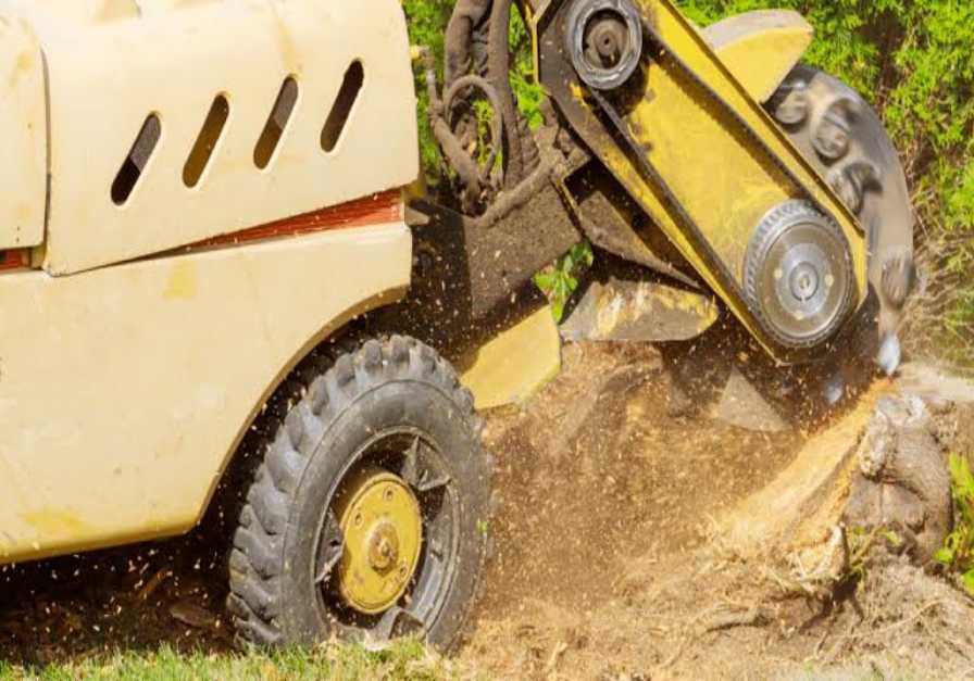 Expert Tree Stump Grinding Perth